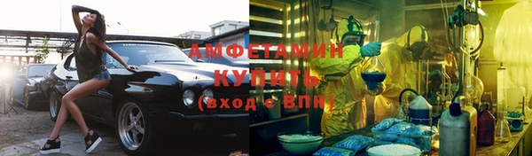 шишки Богородск
