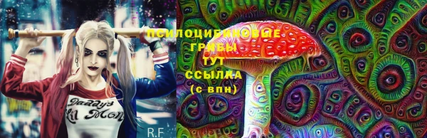 шишки Богородск