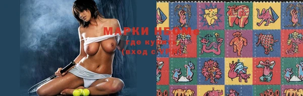 шишки Богородск