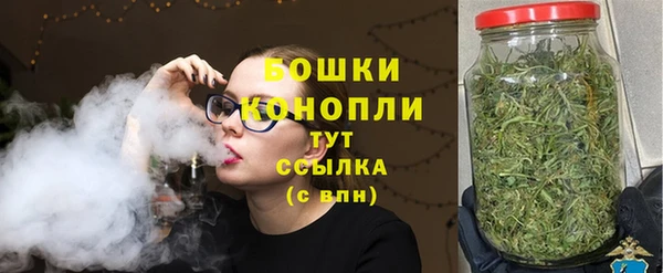 шишки Богородск